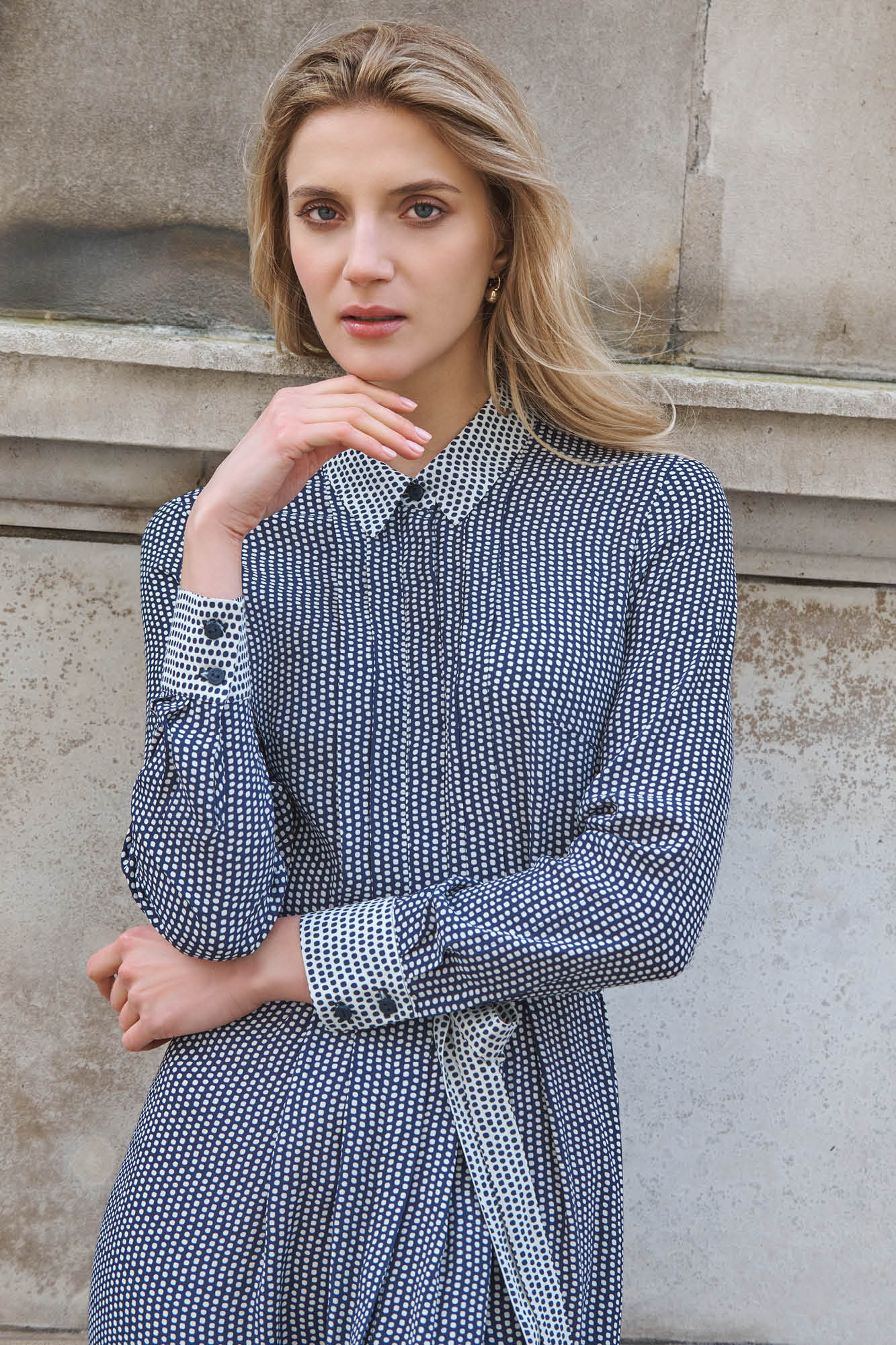 Wicklow Navy Spot Print Dress